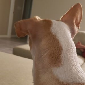 Meet your Posher, Jenn